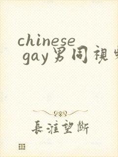 chinese gay男同视频网站