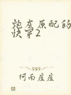 炮灰原配的人生快穿2