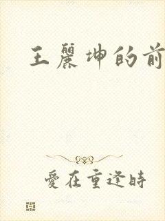 王丽坤的前夫封面