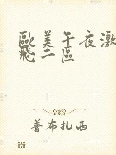 欧美午夜激情一飞二区