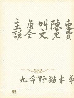 主角叫陈东的小说全文免费阅读