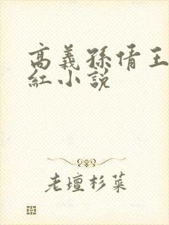 高义孙倩王申美红小说封面