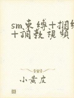 sm束缚+捆绑+调教视频封面