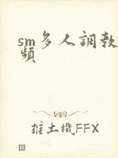 sm多人调教视频