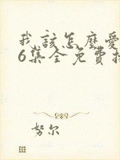 我该怎么爱你36集全免费播放封面