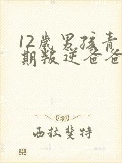 12岁男孩青春期叛逆爸爸怎么教育封面