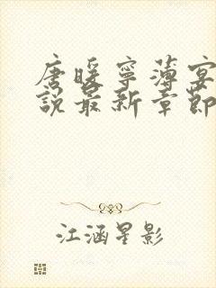 唐暖宁薄宴沉小说最新章节更新