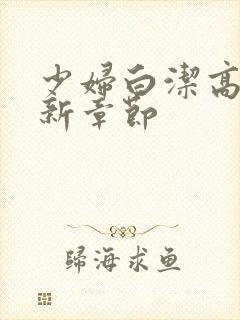 少妇白洁高义最新章节