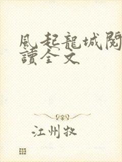 风起龙城阅读阅读全文