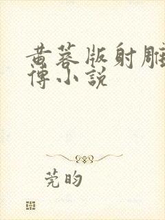 黄蓉版射雕英雄传小说