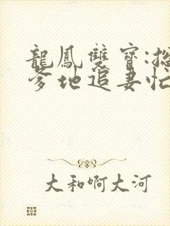 龙凤双宝:总裁爹地追妻忙