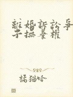 离婚诉讼争取孩子抚养权