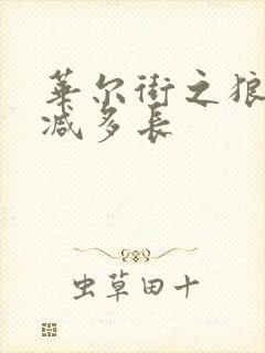 华尔街之狼未删减多长封面