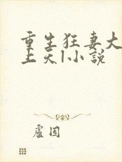 重生狂妻大佬宠上天l小说封面