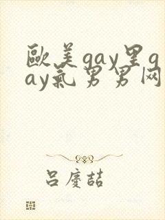 欧美gay里gay气男男网站