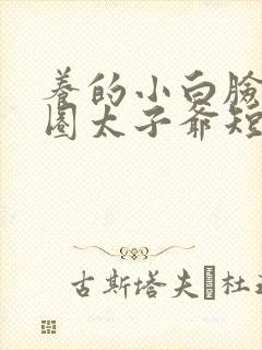 养的小白脸是京圈太子爷短剧 免费