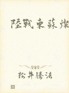 陆战东苏灿免费封面