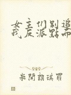 女主们别追了给我反派点面子