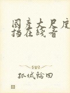 国产大尺度无遮挡在线看