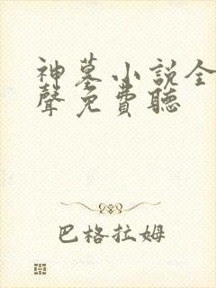 神墓小说全集有声免费听封面