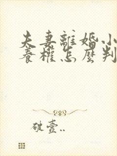 夫妻离婚小孩抚养权怎么判抚养费怎么出