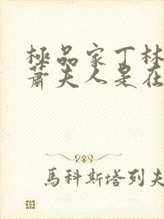 极品家丁林三和萧夫人是在哪一章