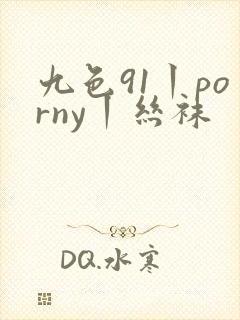 九色91丨porny丨丝袜