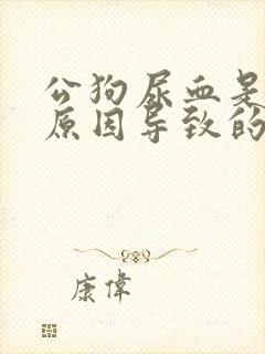 公狗尿血是什么原因导致的