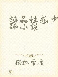 极品性感少妇老师小说