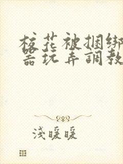 校花被捆绑用性器玩弄调教小说