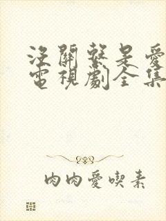 没关系是爱情啊电视剧全集免费观看完整版