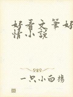 好看文笔好的言情小说