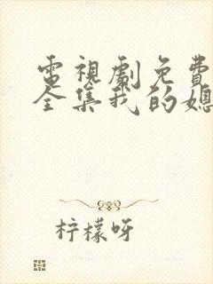 电视剧免费观看全集我的媳妇是女王封面