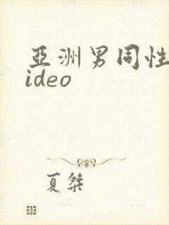 亚洲男同性恋video