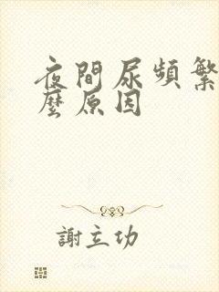 夜间尿频繁是什么原因封面