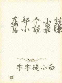 在哪个小说平台写小说最赚钱