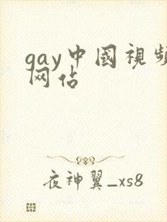 gay中国视频网站