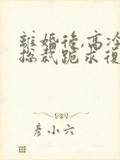 离婚后,高冷女总裁跪求复婚