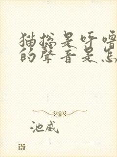 猫总是呼噜呼噜的声音是怎么回事