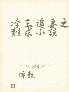 冷王追妻之医妃难求小说封面