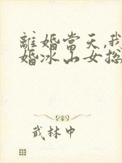 离婚当天,我闪婚冰山女总裁封面