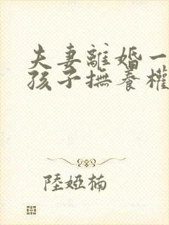 夫妻离婚一个男孩子抚养权怎么判定