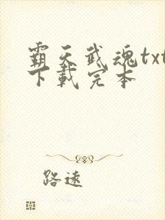 霸天武魂txt下载完本