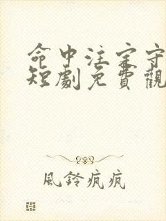 命中注定守护你短剧免费观看