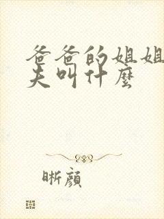 爸爸的姐姐的丈夫叫什么