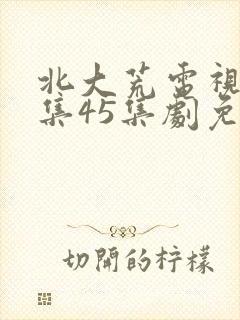 北大荒电视剧全集45集剧免费观看封面