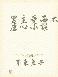 男主爱而不得的虐心小说