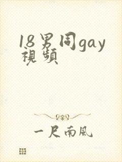 18男同gay视频