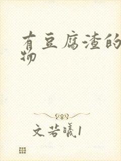 有豆腐渣的分泌物封面