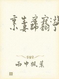 重生蜜宠:爆甜小妻帅翻了